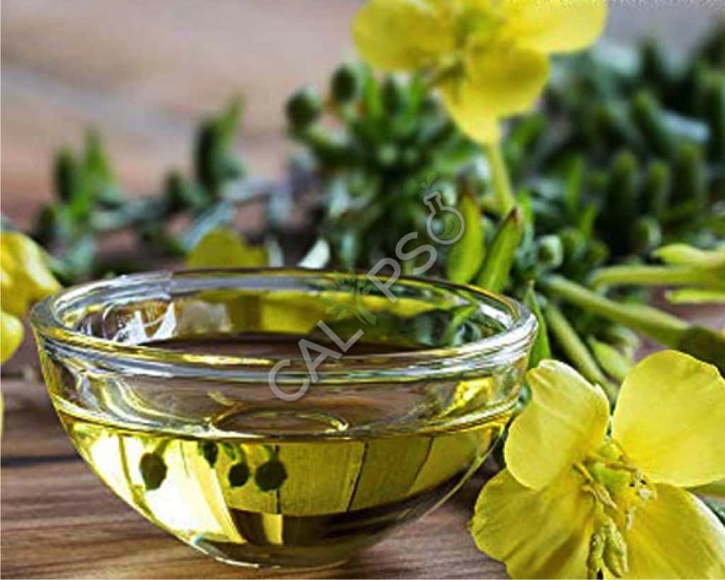 Купить 100% чистое вечернее первоочередное масло для кожи